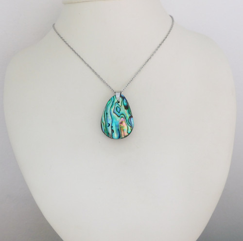 Paua mušla / abalone — foto 5