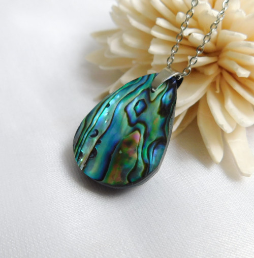 Paua mušla / abalone — foto 2