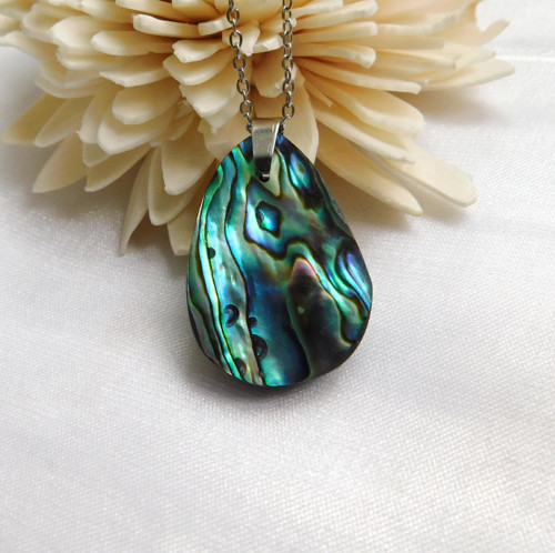 Paua mušla / abalone — foto 3