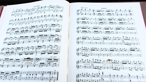 Dvořák — foto 3