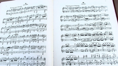 Dvořák — foto 5