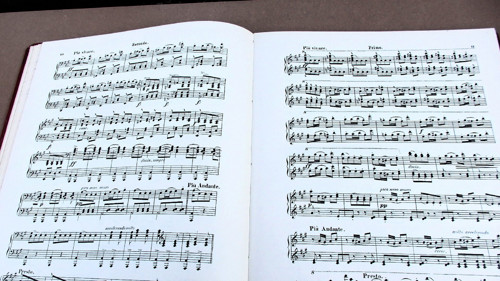Dvořák — foto 4