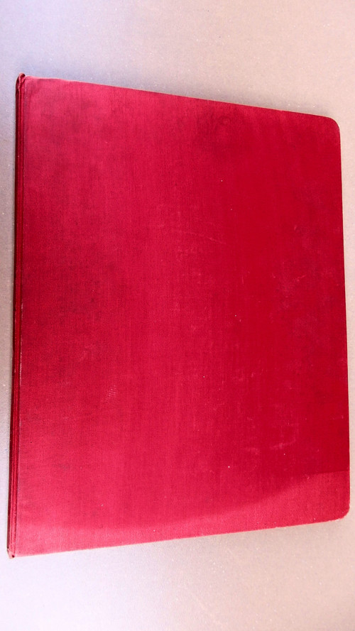 Dvořák — foto 6