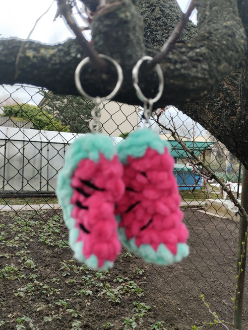 2 packy melounů — foto 2