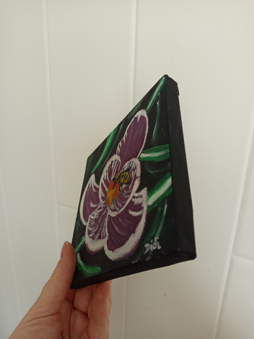 Krokus — foto 2