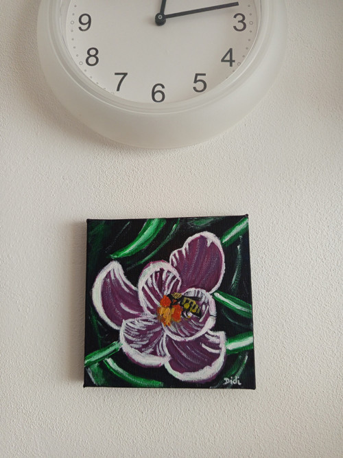 Krokus — foto 3