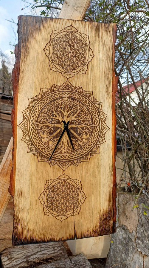 „V korunách stromů přebývá moudrost.“ — foto 2