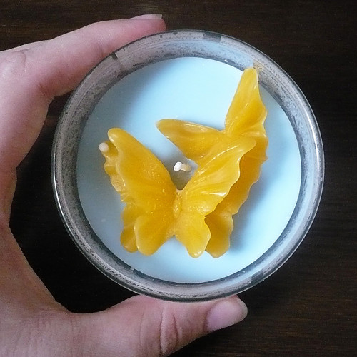 Tanec motýlů — foto 4