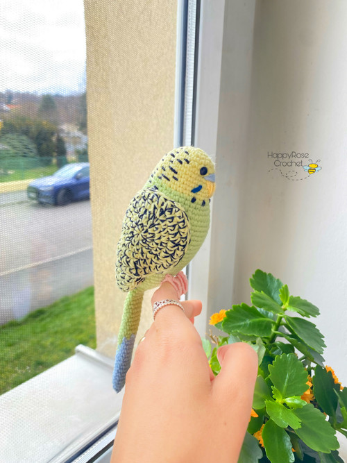 Andulka vlnkovaná zelena — foto 2