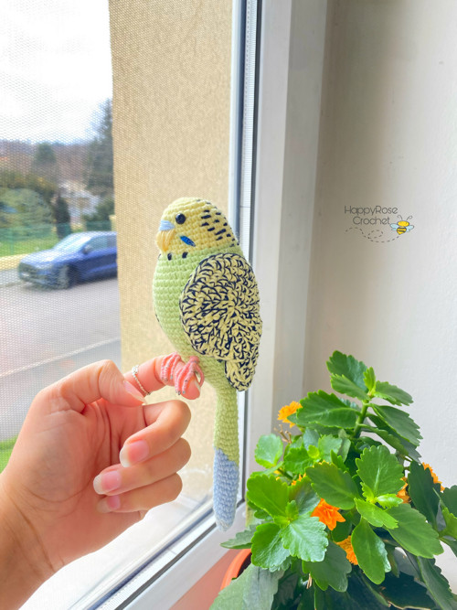 Andulka vlnkovaná zelena — foto 4