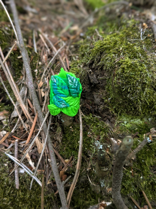 Mnoholistnatý — foto 2