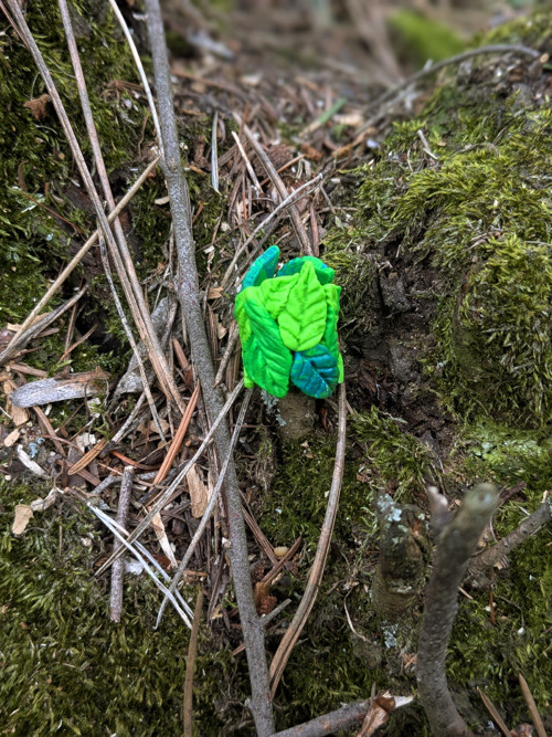 Mnoholistnatý — foto 4
