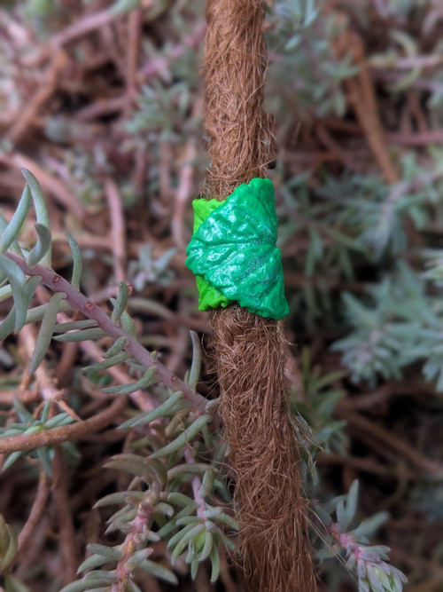 Lístky v objetí - prodáno jinde — foto 2