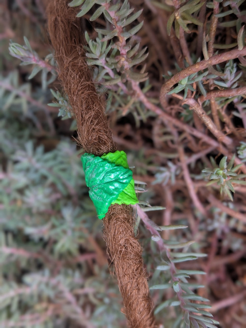 Lístky v objetí - prodáno jinde — foto 4