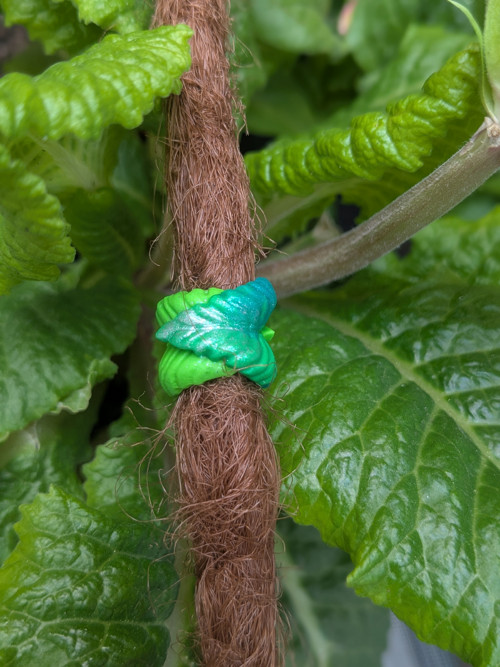 Mini lístky v objetí — foto 3