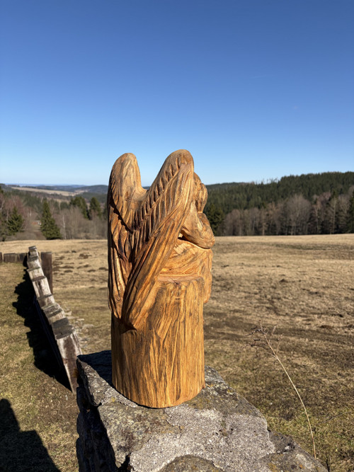 Anděl ochránce — foto 3