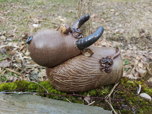 Býk — foto 2