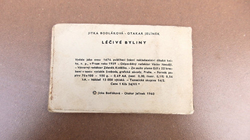 Léčivé byliny — foto 4