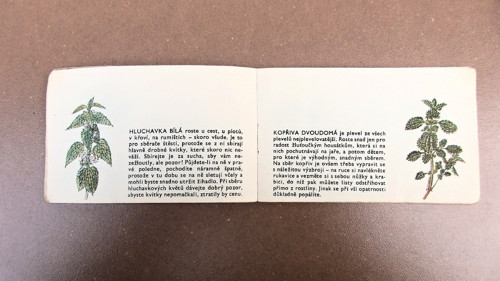 Léčivé byliny — foto 3