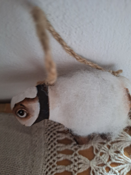 Chundelatá ovečka :)) — foto 3
