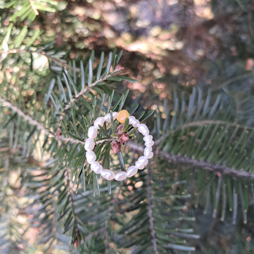 Říční perly, jantar prstýnek — foto 5