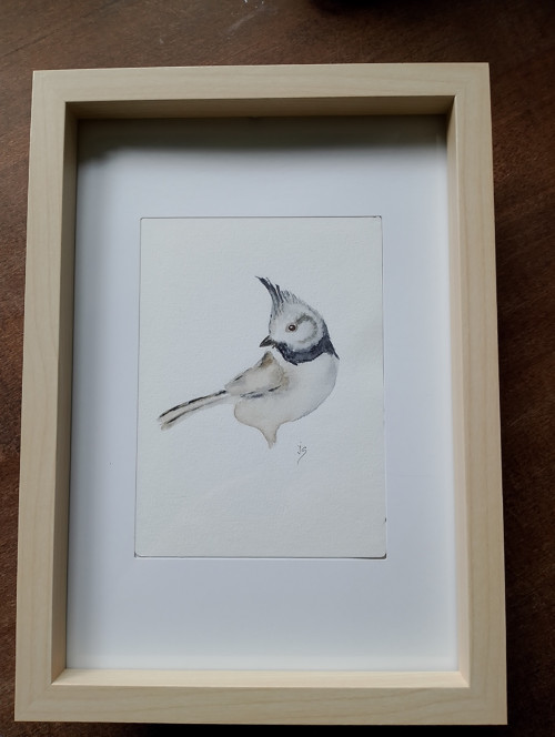 Akvarelový obrázek Sýkorka — foto 2