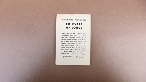 Co kvete na louce — foto 4