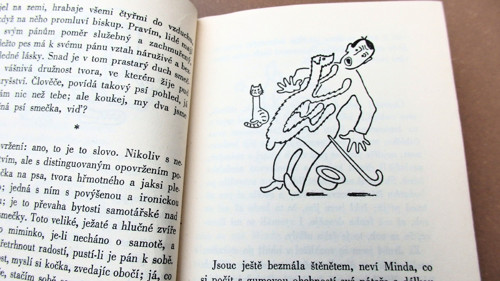 Měl jsem pda a kočku — foto 3