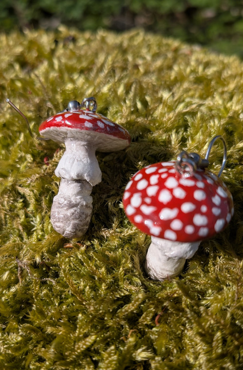 Muchomůrky velké — foto 3