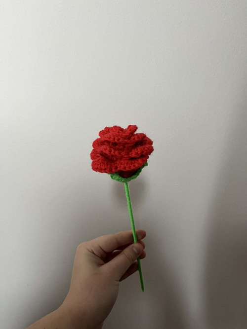 Věčná růže pro radost — foto 4