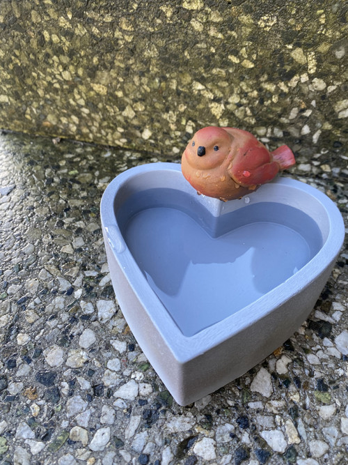 Pitko pro ptáčky — foto 3