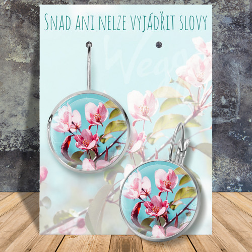 Přáníčkové - OCEL - Nelze vyjádřit slovy — foto 4