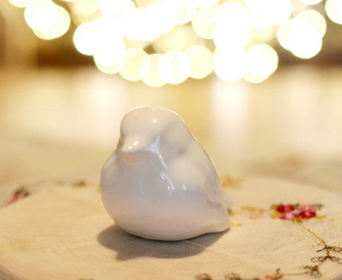 Sada minimalistických ptáčků — foto 3