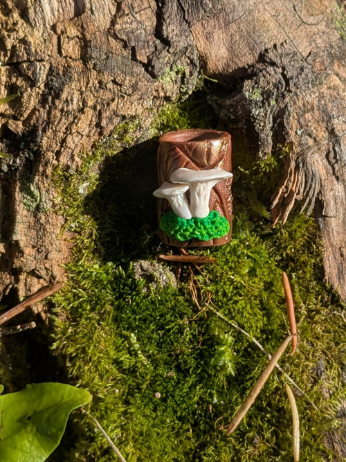 Hlíva na zlaté — foto 2