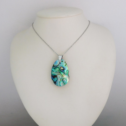 Paua mušla / abalone — foto 5
