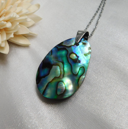 Paua mušla / abalone — foto 2
