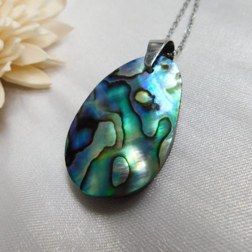 Paua mušla / abalone — foto 4