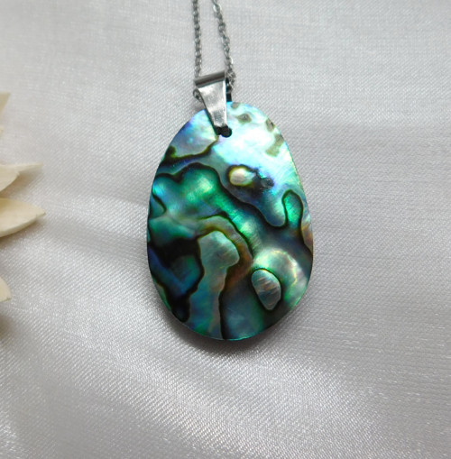 Paua mušla / abalone — foto 3