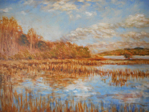 Rybník — foto 2