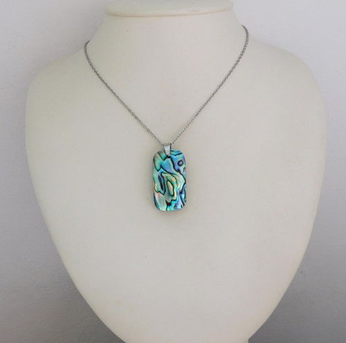 Paua mušla / abalone — foto 5