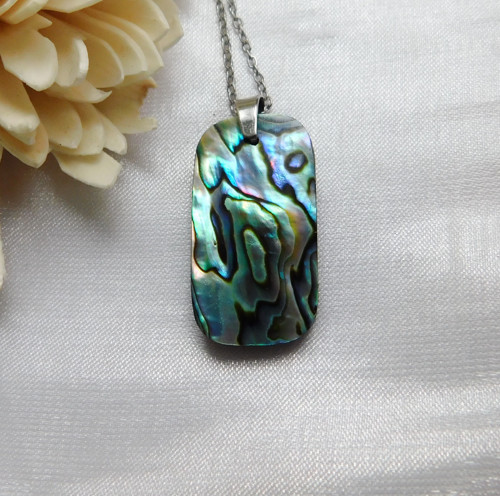 Paua mušla / abalone — foto 4