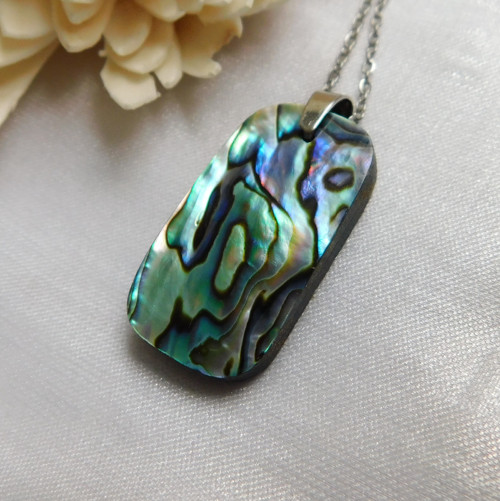 Paua mušla / abalone — foto 3