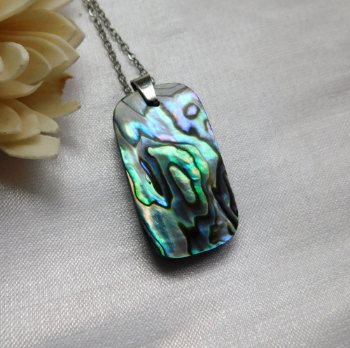 Paua mušla / abalone — foto 2
