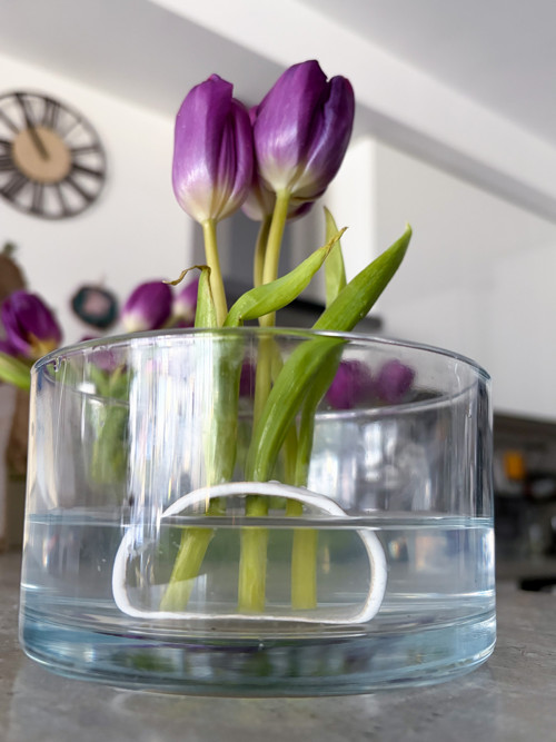 Stojánek Ikebana — foto 4