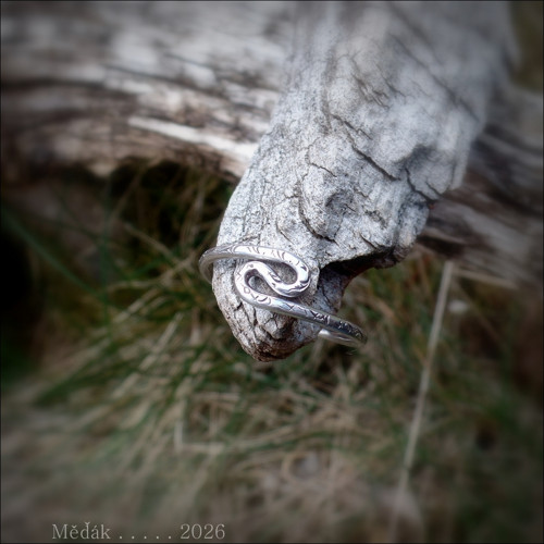 Ladné křivky, snadná cesta.. — foto 5