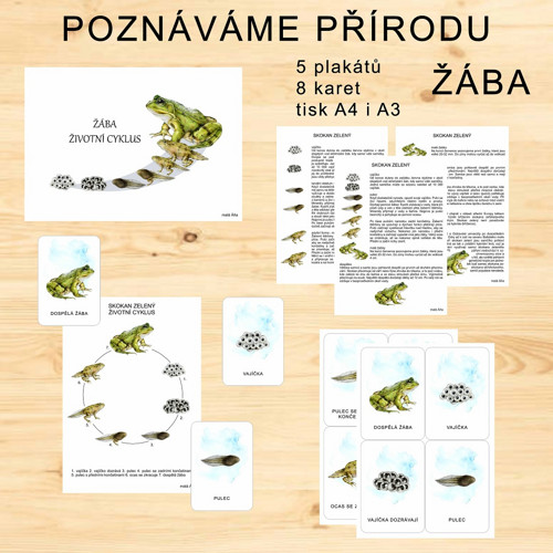 ŽÁBA - POZNÁVÁME PŘÍRODU v PDF — foto 2