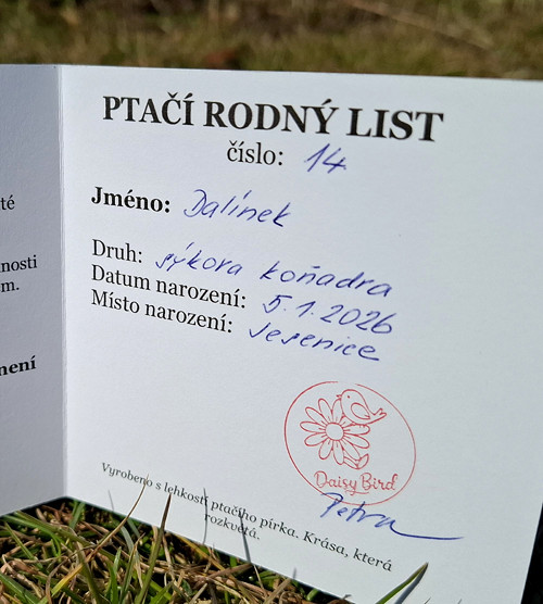 Háčkovaný ptáček - sýkora koňadra — foto 3