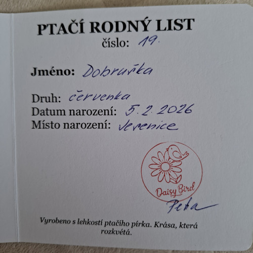Háčkovaný ptáček - červenka — foto 3