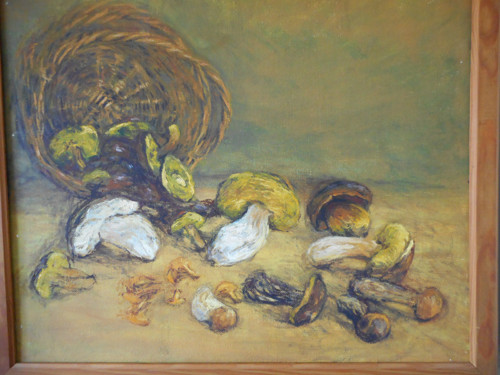 Zase porostou — foto 2