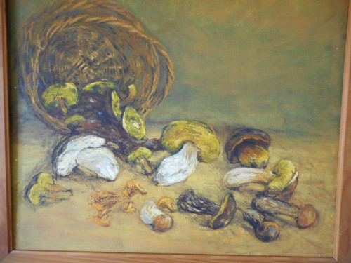 Zase porostou — foto 3